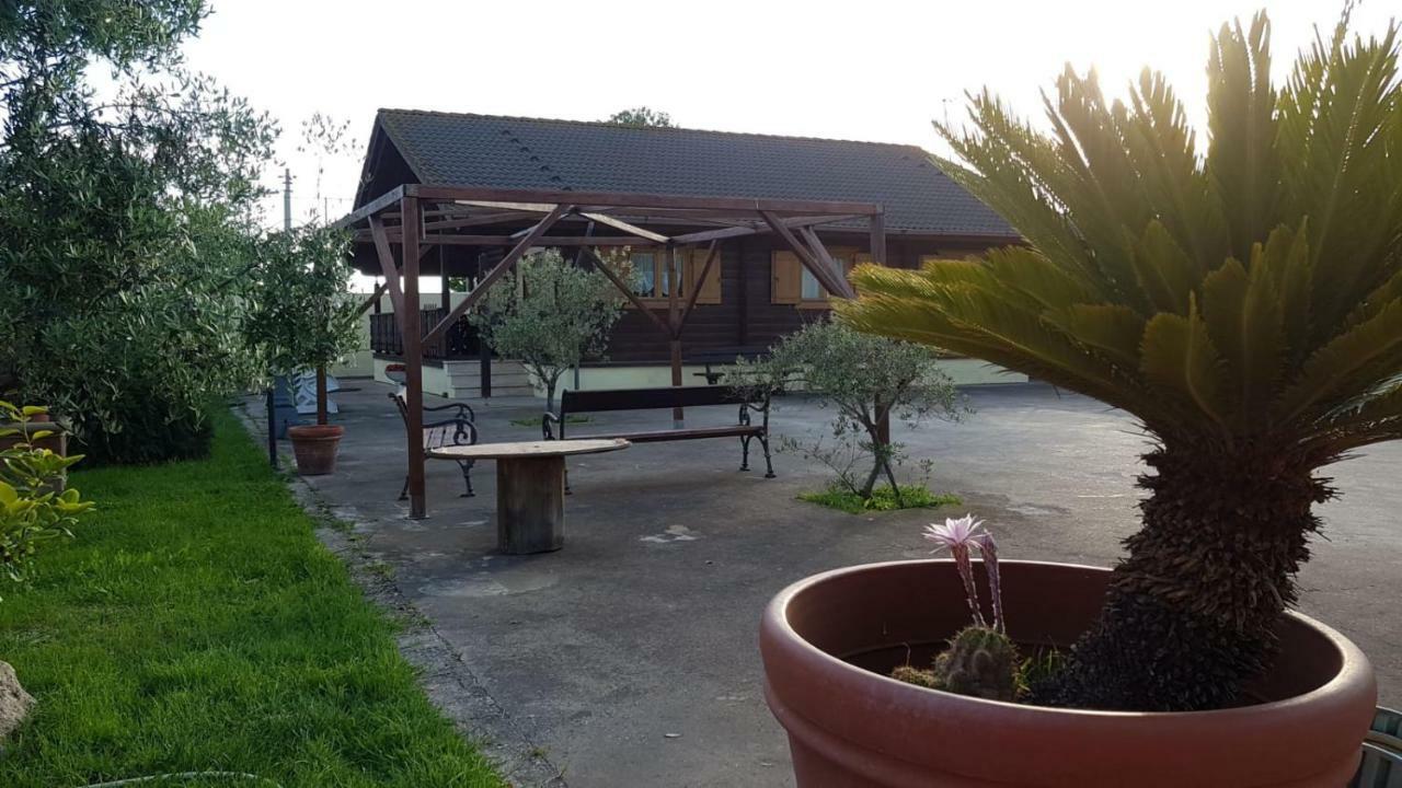 Chalet L Oasi Di Ambra 8 Posti Letto Con Uso Piscina 아르데아 외부 사진